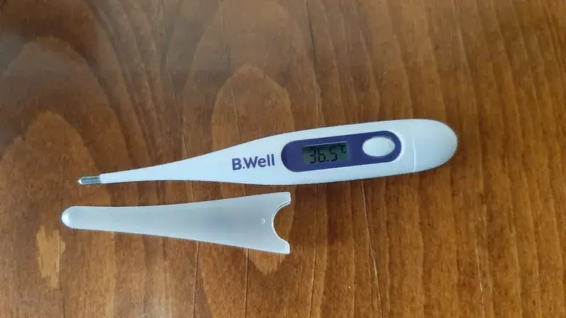 фото термометра B.Well WT- 03 Base