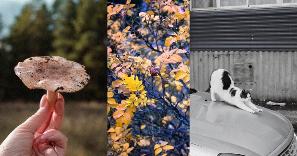 Фото, сделанные на беззеркальный фотоаппарат Nikon Z5 Kit